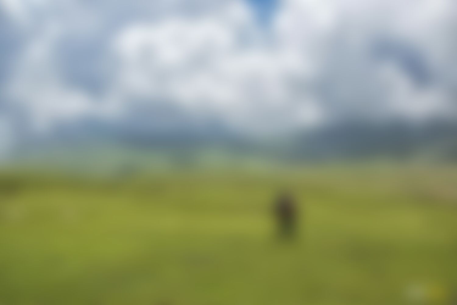 low-preview-056f51da 23dd 44ca a81d 156e6c21e70c asther valley trek indiahikes nithesh kumar july 2022 website resolution 12
