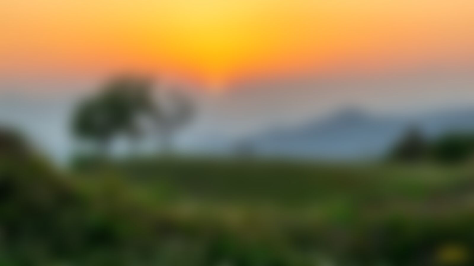 low-preview-0ce79e71 fa96 4ba3 8127 d752ebd60725 nag tibba kumar amrit golden sunset in nag tibba campsite compressed