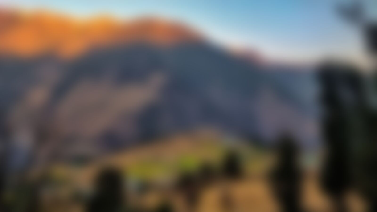 low-preview-0cfb1f19 8ee9 4540 9eaf 790a8828b826 ali bedni ab dhaval indiahikes spring 2