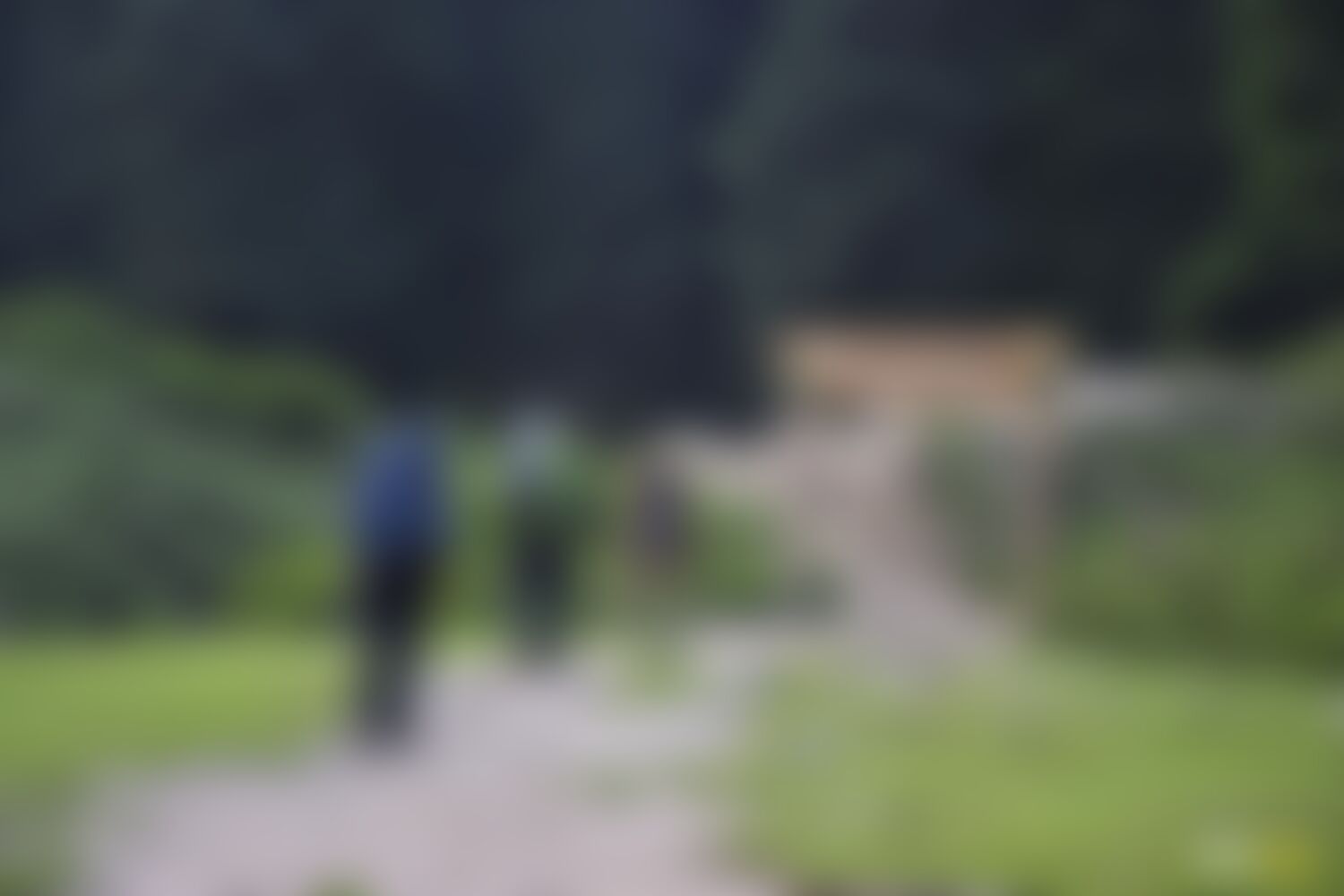 low-preview-0dace4bc 8fc8 410f 98cb 62d3454dc737 asther valley trek indiahikes nithesh kumar july 2022 website resolution