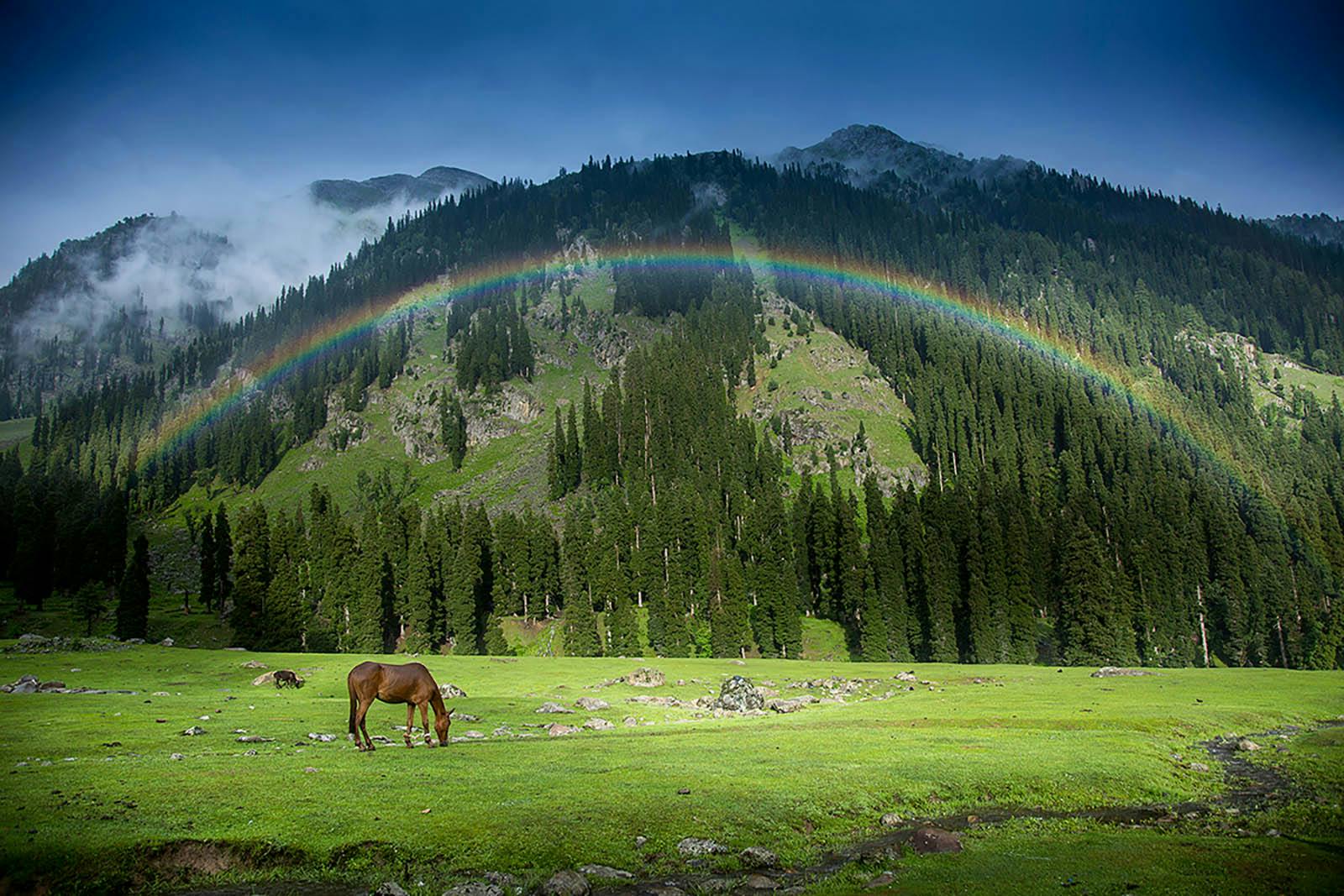 0e8c79b3 f4f3 4bb1 8e05 92e8b6aa45c6 tarsar marsar shreenath indiahikes august season photo 