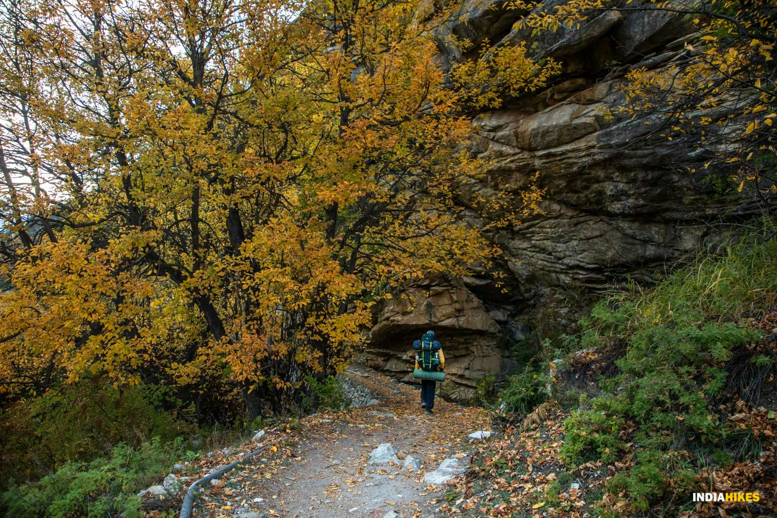 12430fbb 616d 4534 a7b9 a3e9b420e0a7 gaumkh tapovan gt jothiranjan autumn colors mountain views trekkers on trail  63