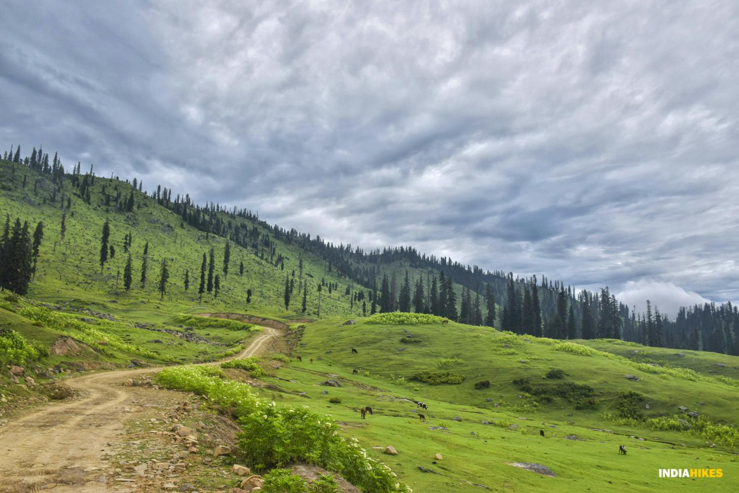 12a58c8c 34c3 4969 87d7 3c54bc3378f7 asther valley trek indiahikes nithesh kumar july 2022 website resolution  44