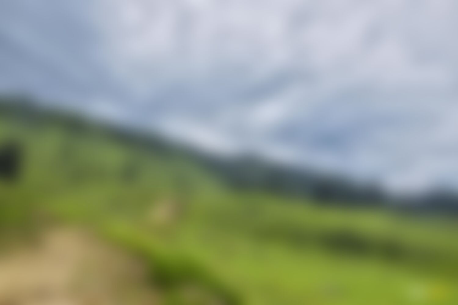 low-preview-12a58c8c 34c3 4969 87d7 3c54bc3378f7 asther valley trek indiahikes nithesh kumar july 2022 website resolution 44