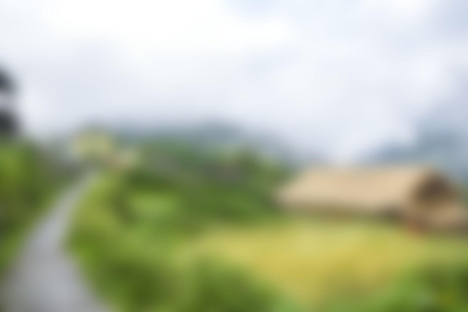low-preview-12af4d2b 5e40 40ce 94d0 0553ec0350b8 ranthan kharak trek indiahikes nitesh kumar april 2022 website resolution 19