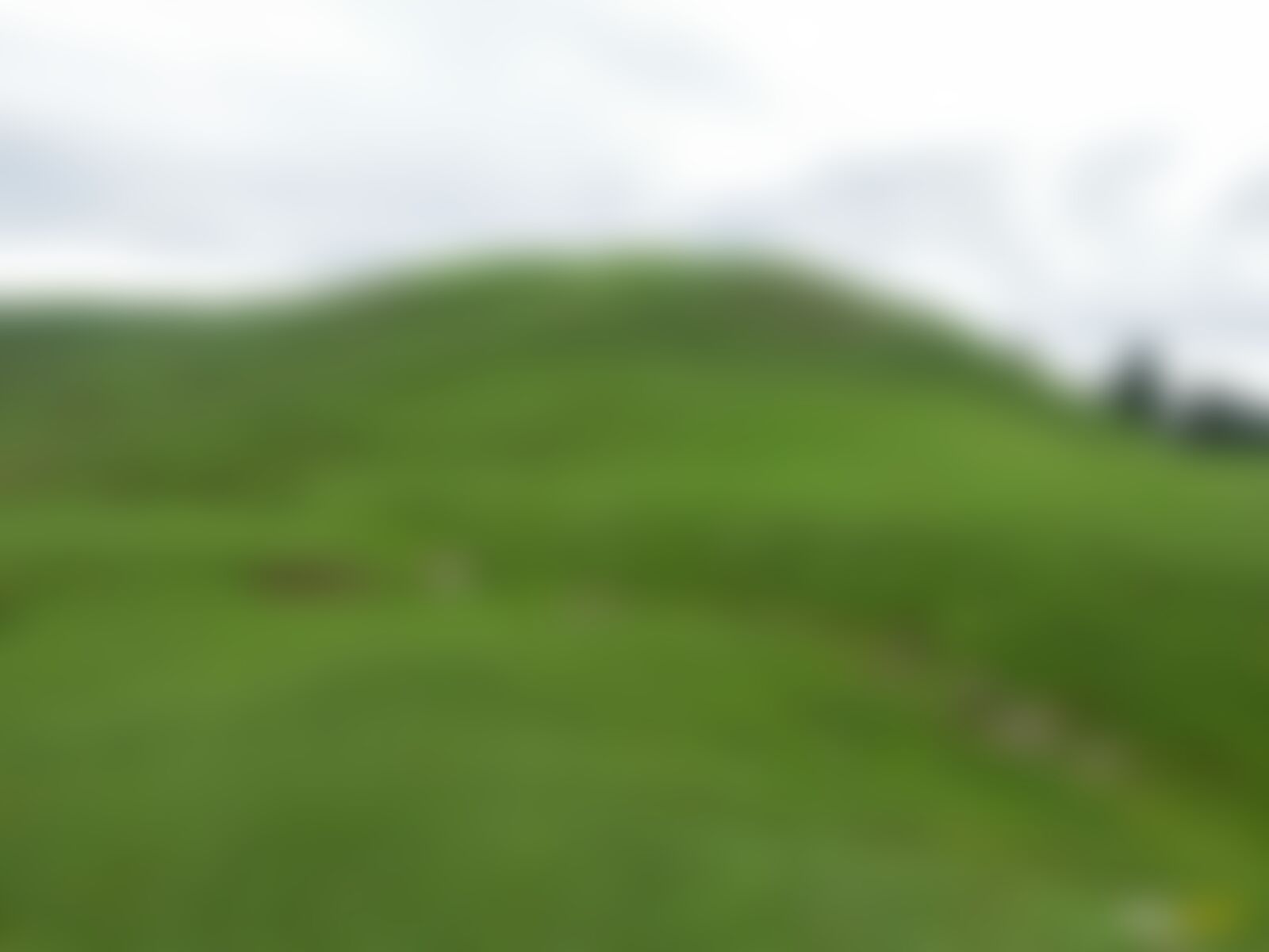 low-preview-13c30053 9c99 4e48 9e89 7591b3e0eaba seven lakes trek sl nithyam july 2023 exploration monsoon treks meadows kashmir 23