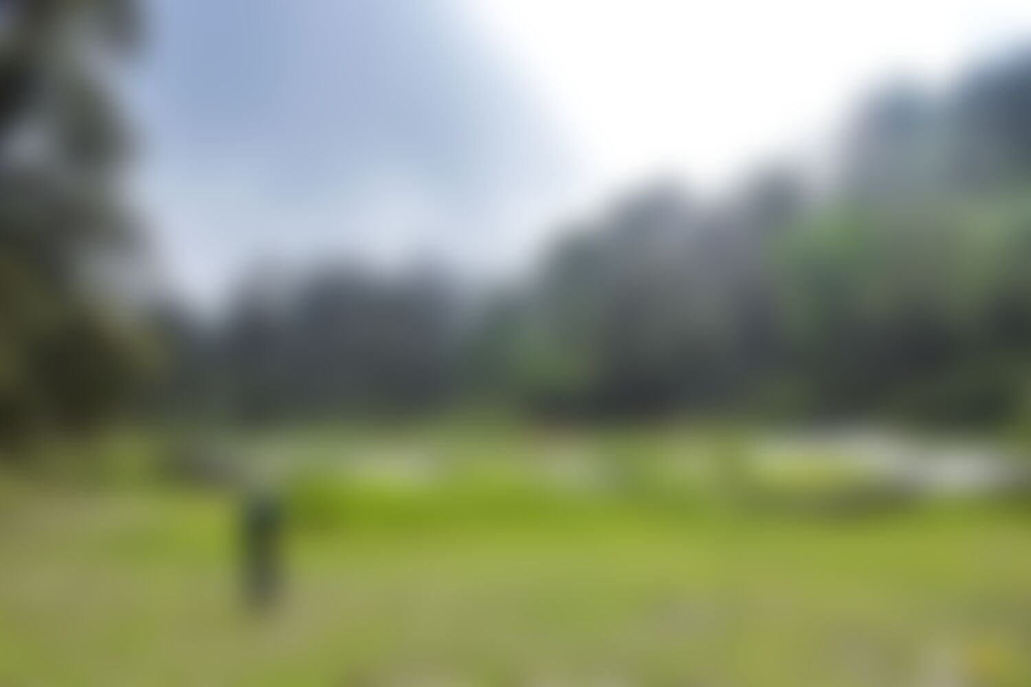 low-preview-162de671 e6fd 433f b378 d3e3207c114c ranthan kharak trek indiahikes nitesh kumar april 2022 website resolution 51