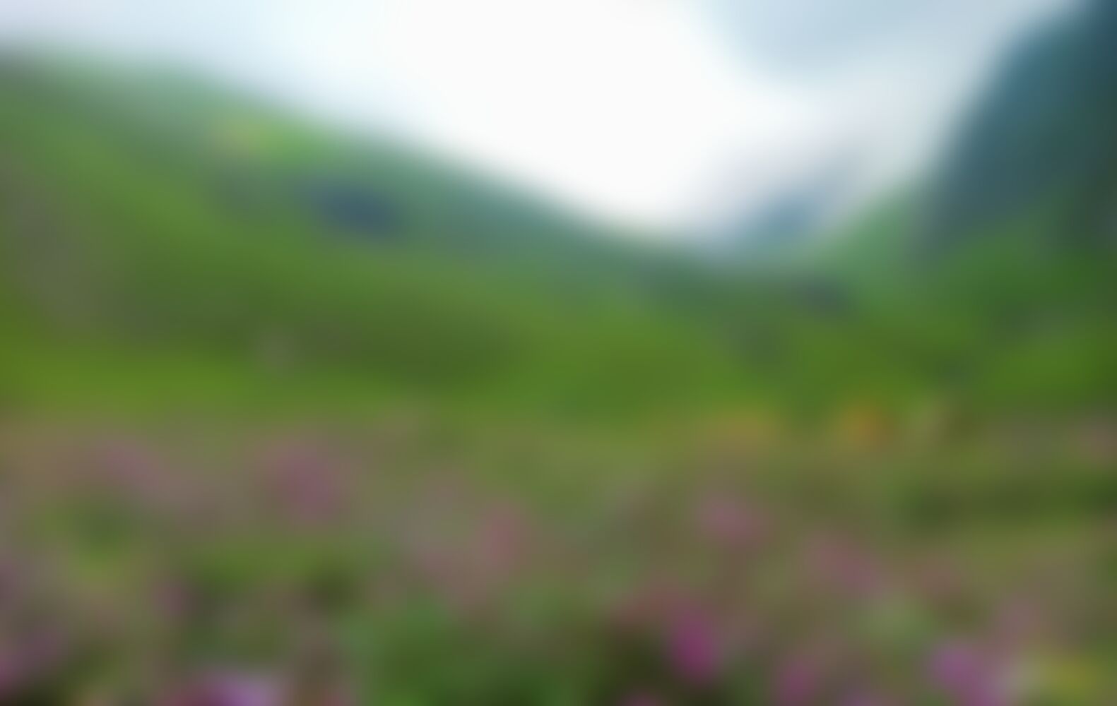 low-preview-16994eee 5a55 44f4 9eff 81cb7e354839 hampta pass vineeth v