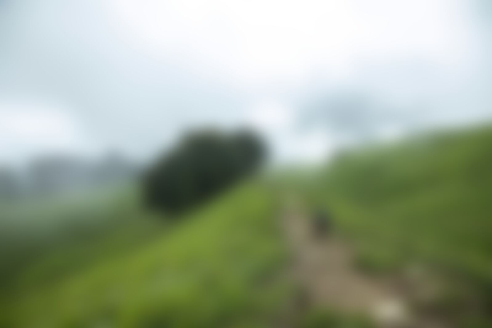 low-preview-19348408 6f24 4ecf 8f3e a14a501a2e58 bhrigu lake bl indiahikes jothiranjan august 2021 towards guleba