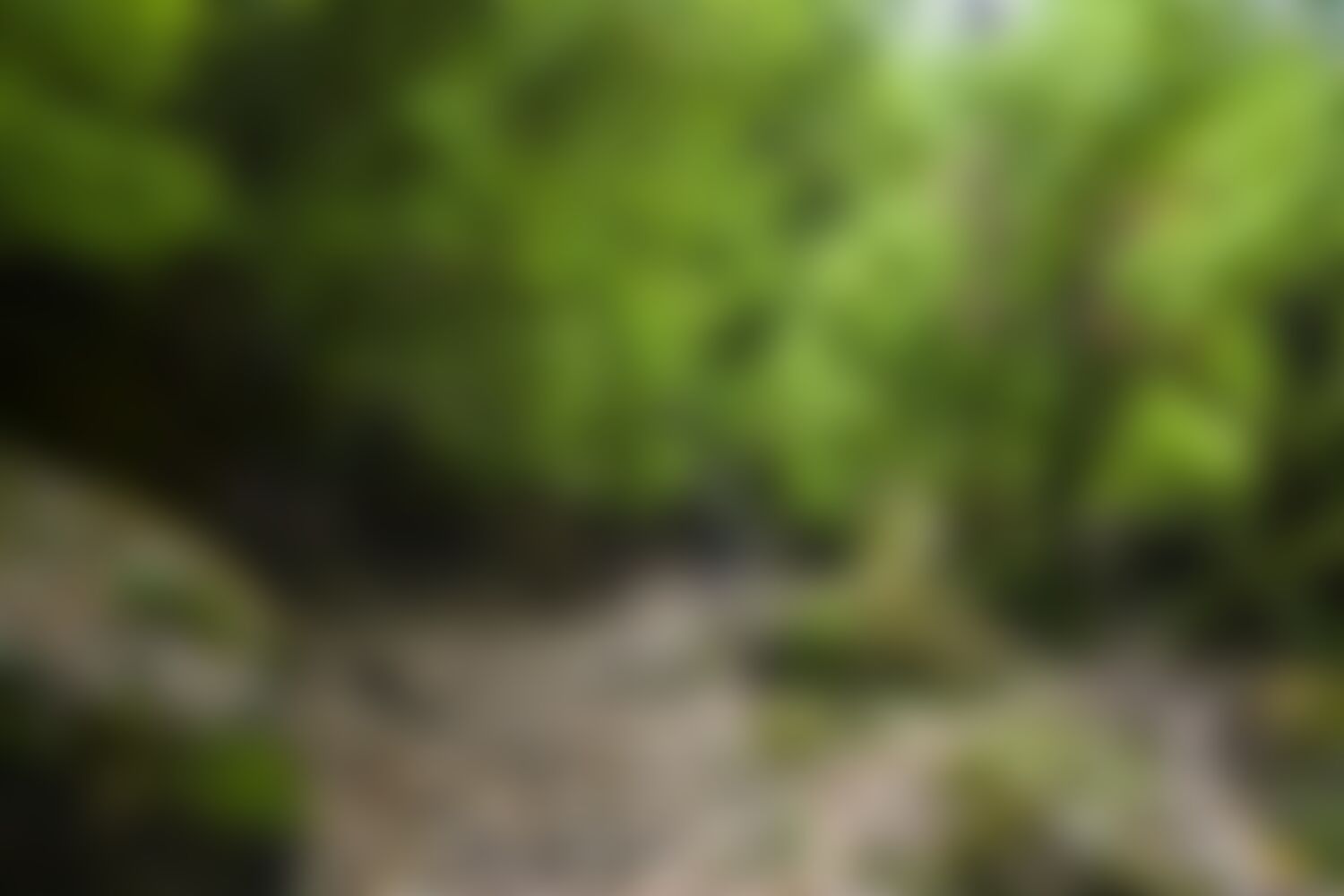 low-preview-1969b1b6 41cc 4fb3 aa41 a11ca3526b87 ranthan kharak trek indiahikes nitesh kumar april 2022 website resolution 27