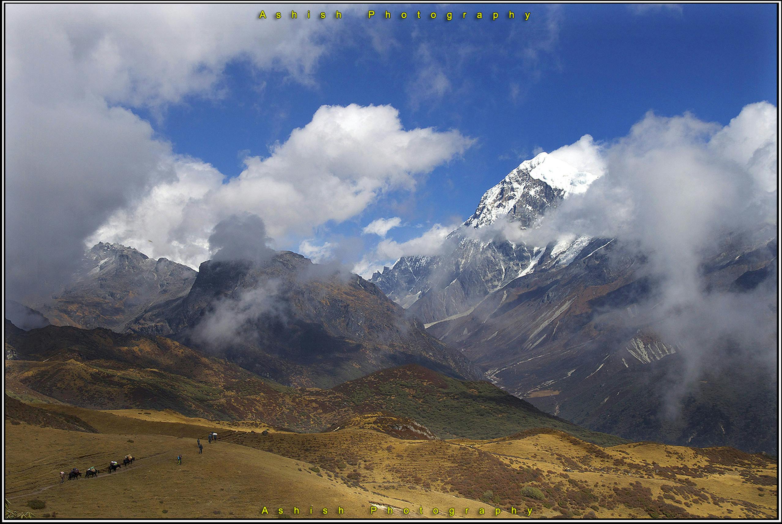 22724 copy of goechala ashishbhatt 6 trekkersyaknpandim
