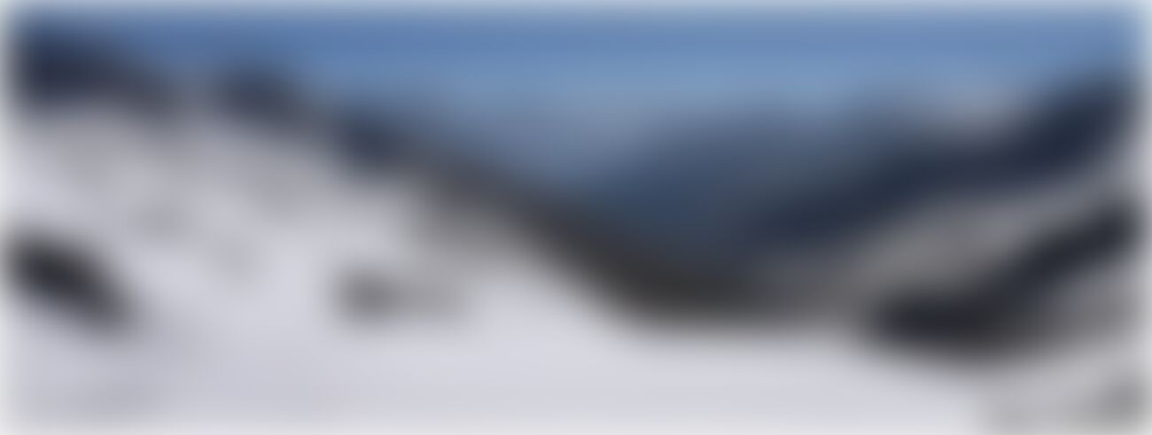 low-preview-29962 copy of rupinpass gajendrakumar human insgnificance personified spot the humans 1300 x 491