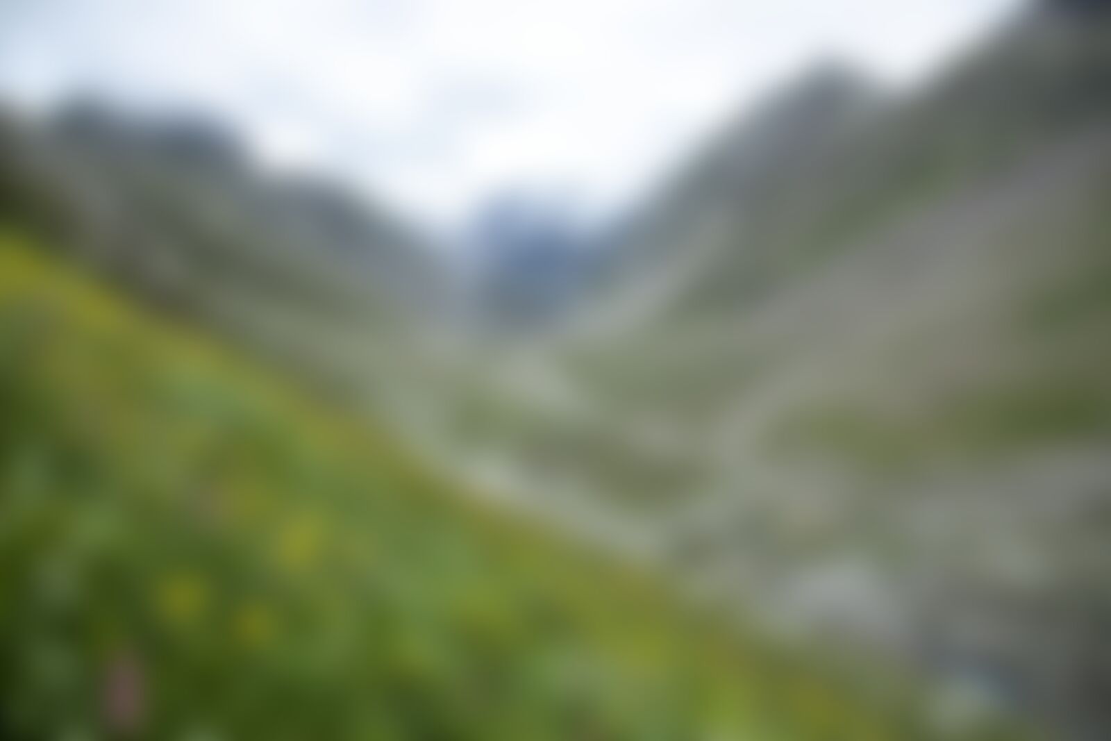low-preview-2b3fead6 c3c0 4083 a3bf c8ad6bd77dc7 hampta pass hp indiahikes jothiranjan towards sheaguru campsite august 2021 11