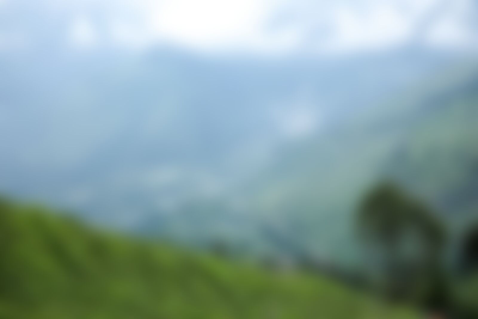 low-preview-2c59be2d f7dc 437c b557 8c04e3388624 bhrigu lake bl indiahikes jothiranjan august 2021 decent to guleba
