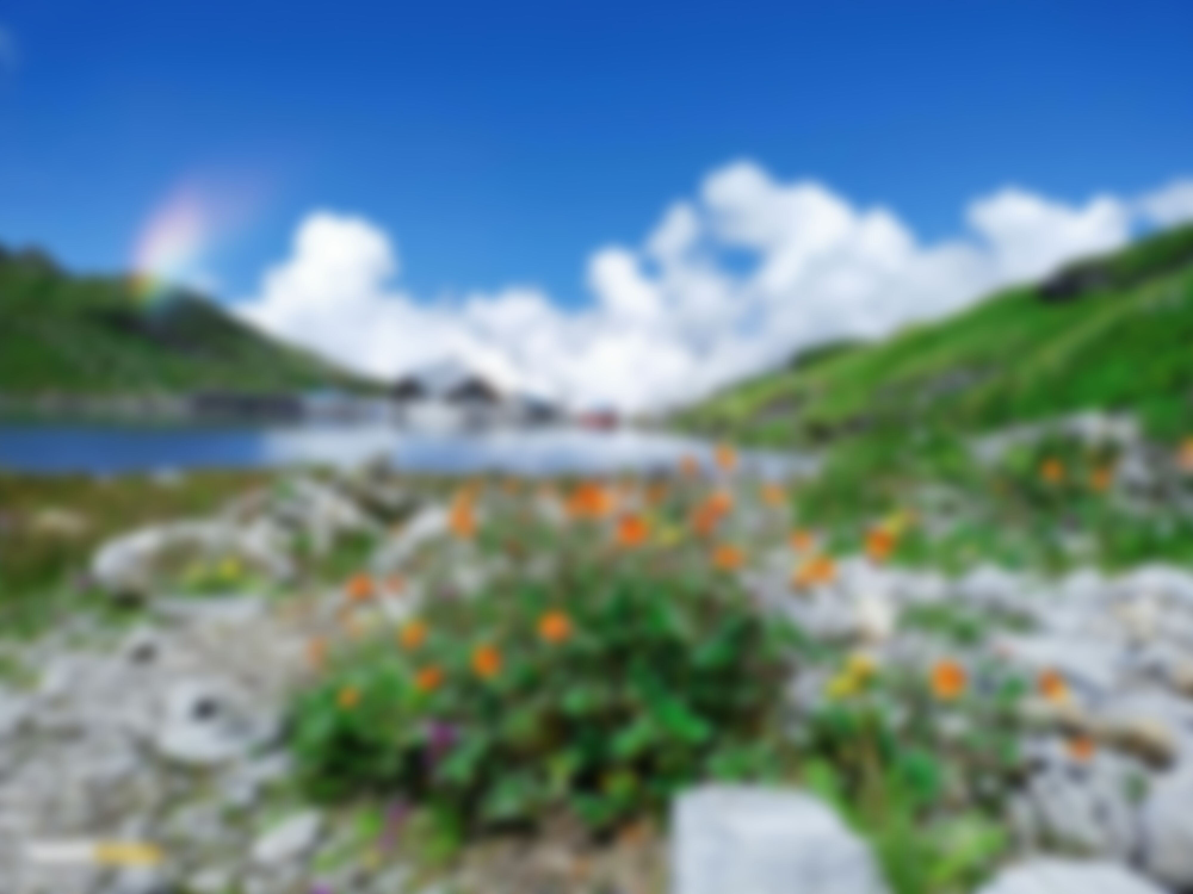 low-preview-30694cd7 c631 4c4d be4d 933fb3e65866 valleyofflowers hemkund monsoon pictures krishna singh