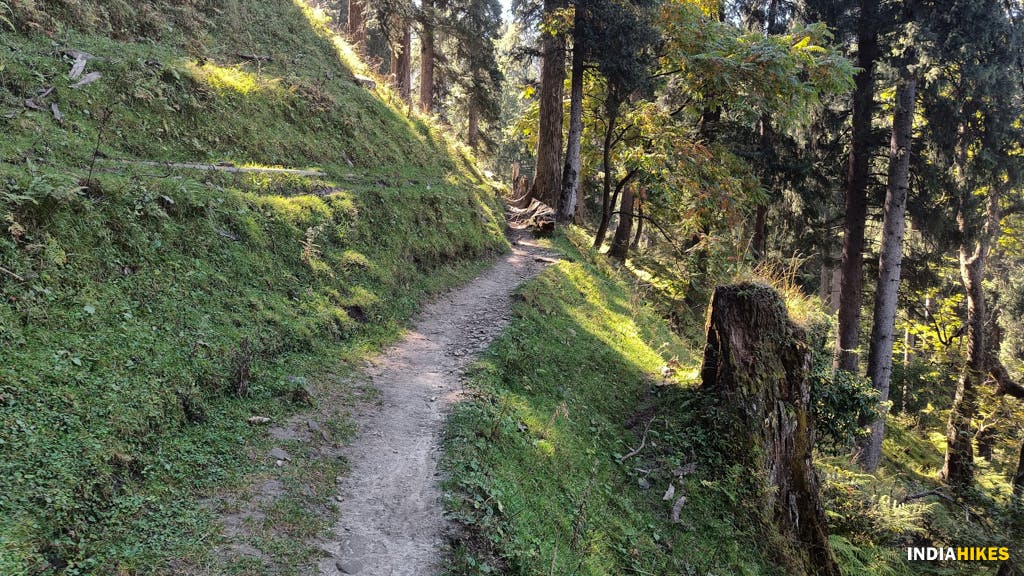 3264a82a fd64 42e0 9aff d20629c2220f manali trail walk lot to kaisdhar akhil indiahikes %281%29