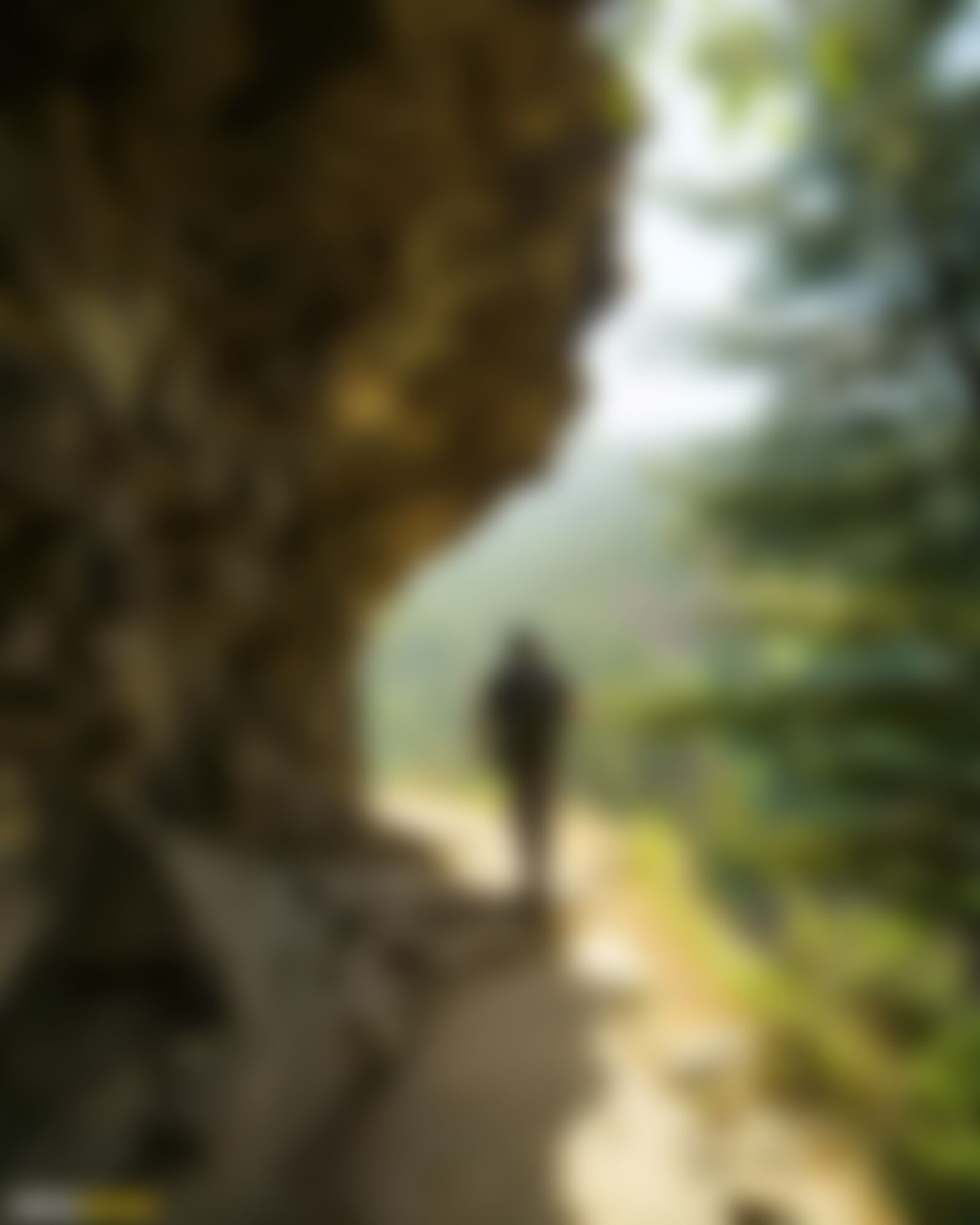 low-preview-3997f7dd 5e77 4a5e adf0 181176ec47be rupin pass jiskun to jhaka parikshit madhukar indiahikes %2825%29