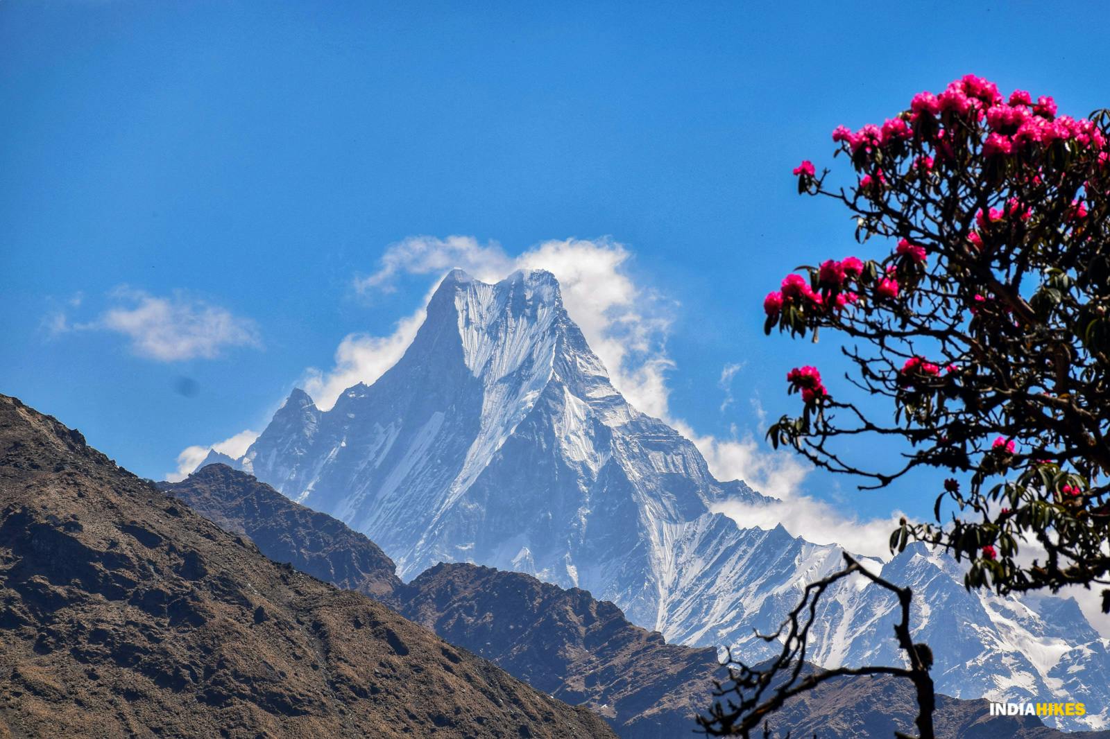 3c4f23ff 7fa5 407c 8634 24b723fb5f48 machapuchare khopra ridge nitesh kumar indiahikes