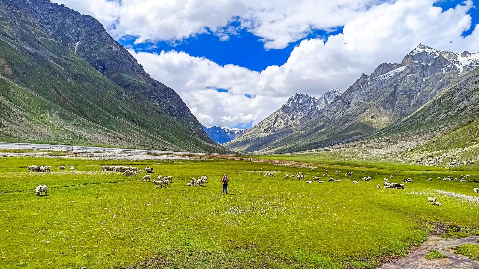 low-preview-3d302685 27f6 440e 9b1d 673b212cd972 miyar valley mv indiahikes akshay exploration july 2021 %2845%29