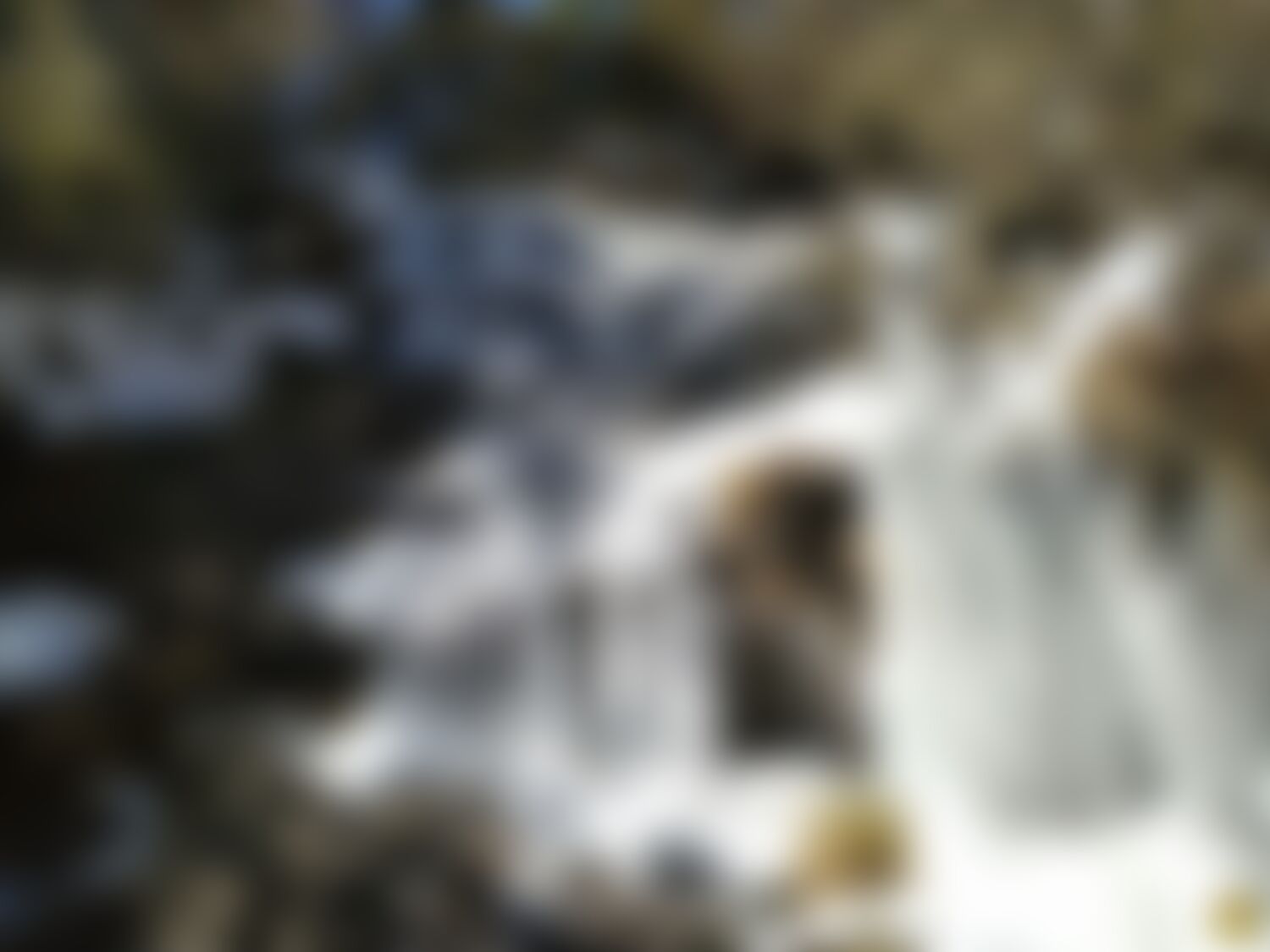low-preview-3de4a18c f69a 49a6 8efc 543bee306a2a dayara bugyal frozen streams pranav dharamsey indiahikes