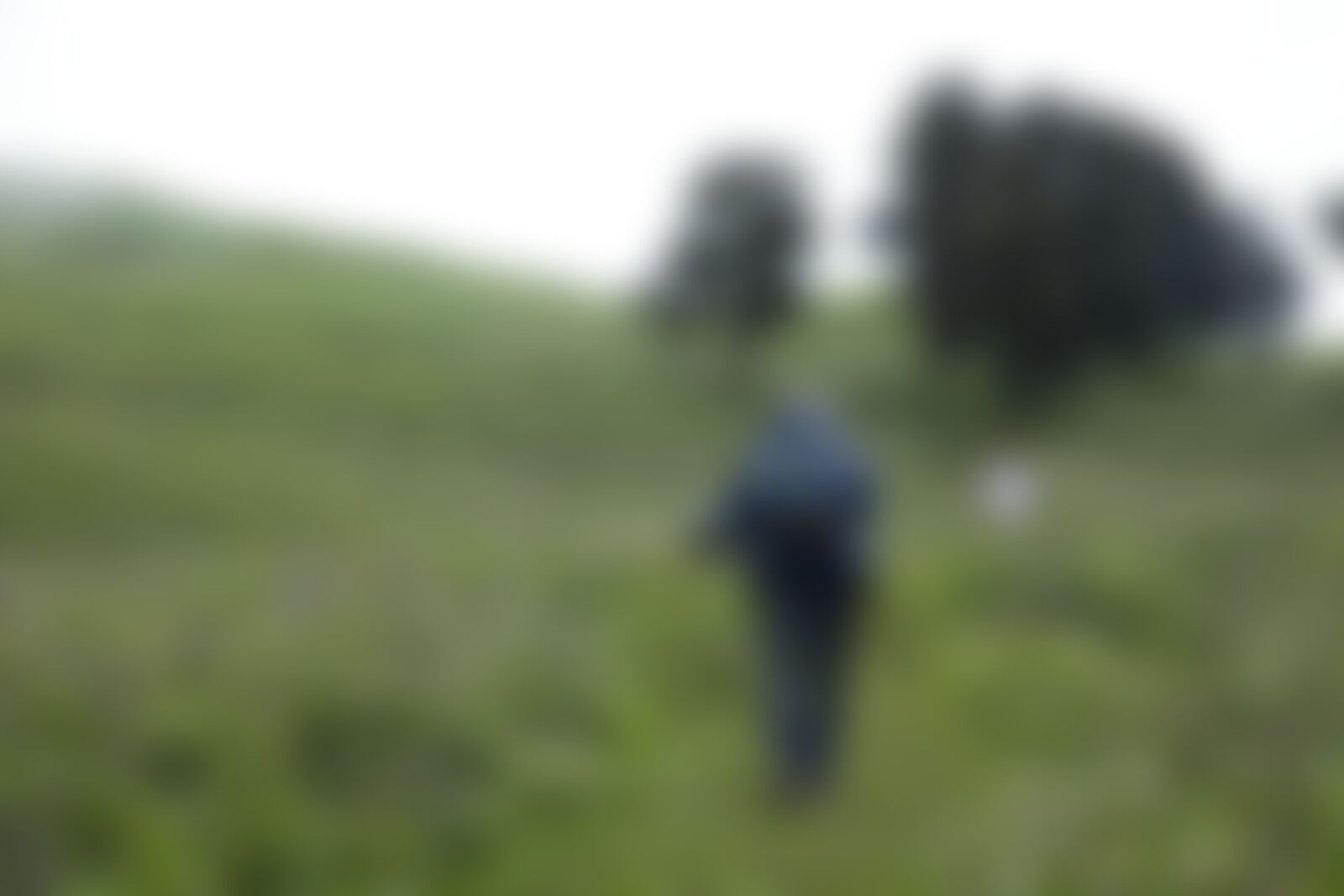 low-preview-518a6b45 d93a 4ead 94f0 11b4d8bb1cfc bhrigu lake bl indiahikes jothiranjan trailwithtrekkers 2021
