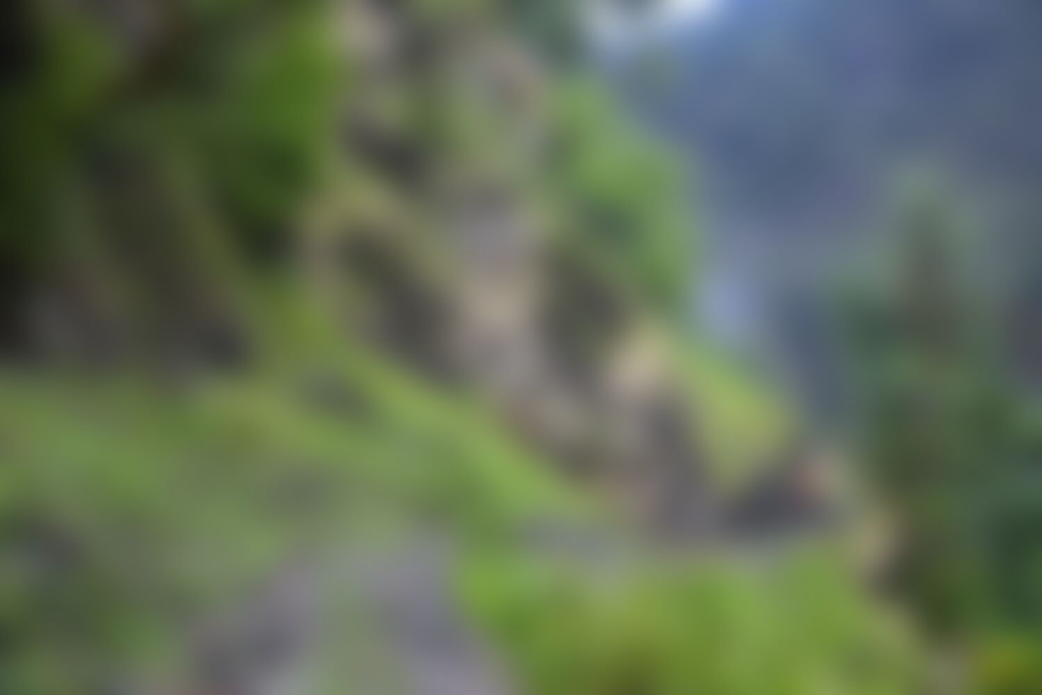 low-preview-51c9274e c399 49f8 8ab0 b31be1e7b9a8 ranthan kharak trek indiahikes nitesh kumar april 2022 website resolution 11