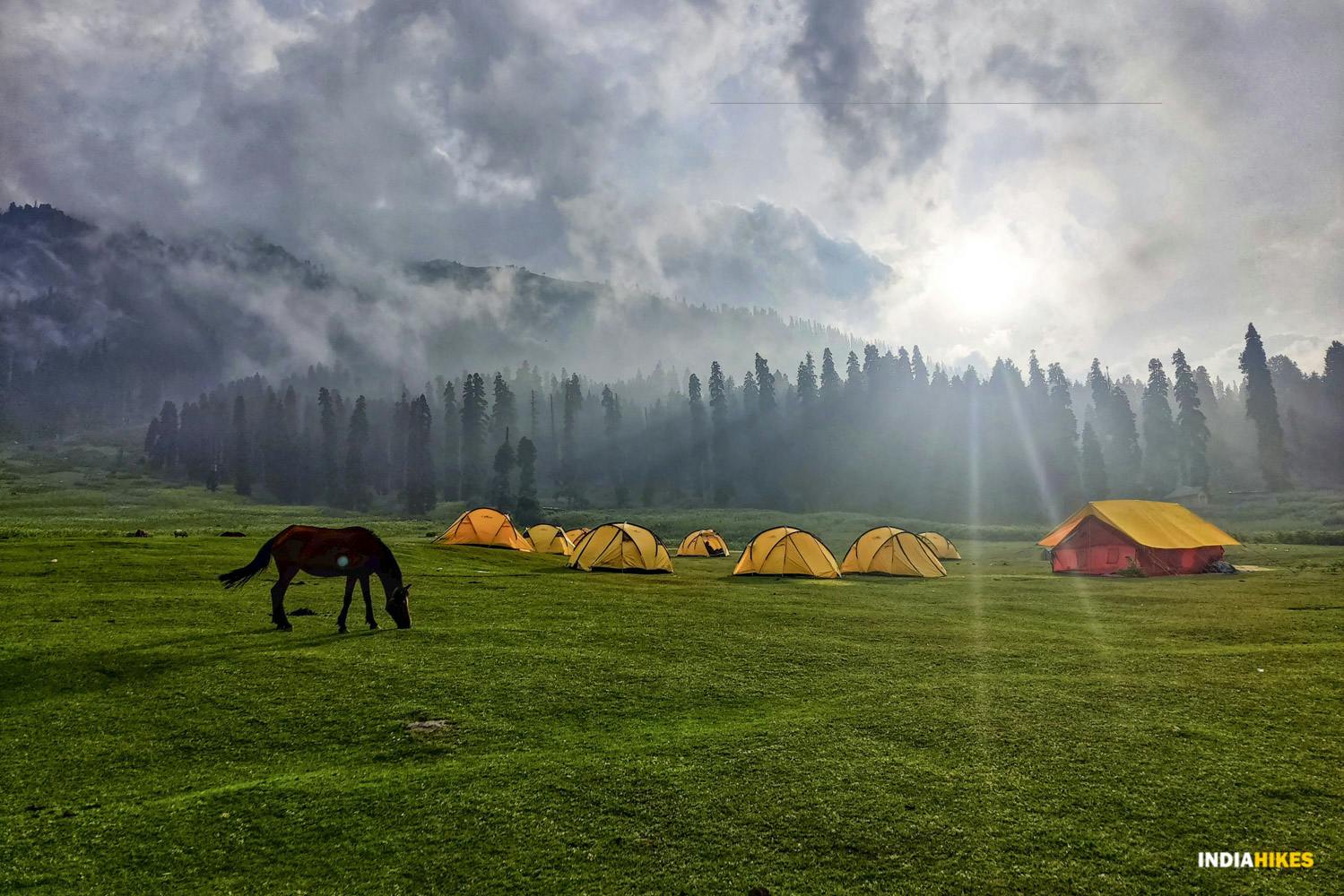 532648b8 7784 432b 8dc5 2dc7ffddfc92 bodh pathri trek indiahikes campsites nitesh kumar  3