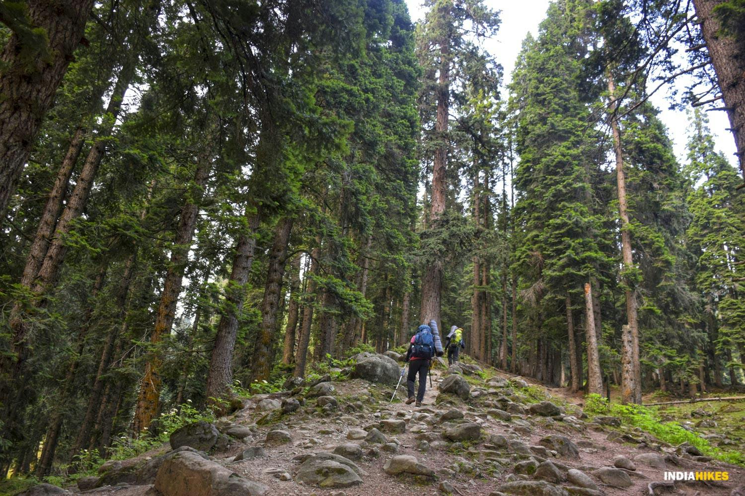 5347ebbf a378 49a5 b648 fceb62192db3 asther valley trek indiahikes nithesh kumar july 2022 website resolution  2
