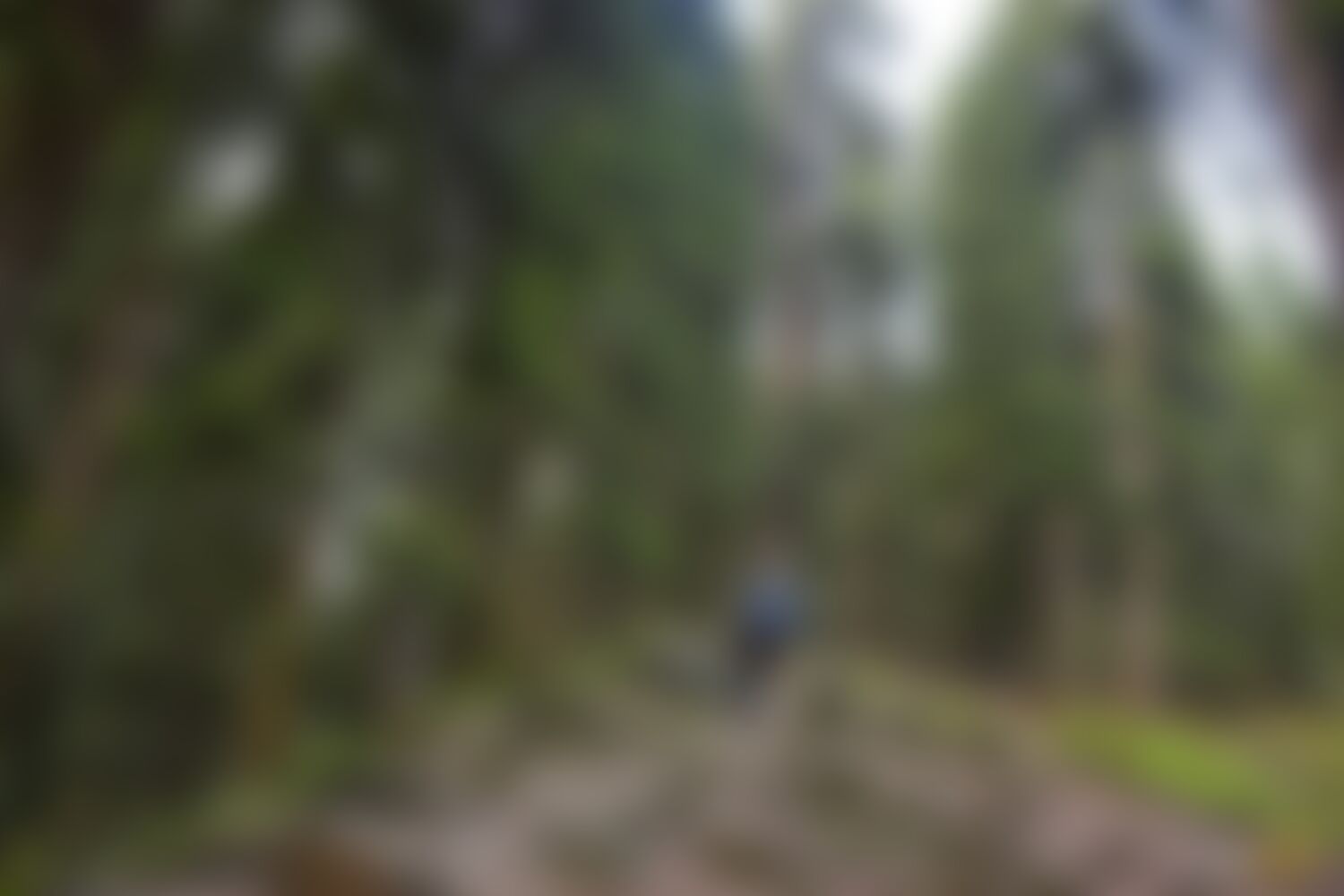 low-preview-5347ebbf a378 49a5 b648 fceb62192db3 asther valley trek indiahikes nithesh kumar july 2022 website resolution 2