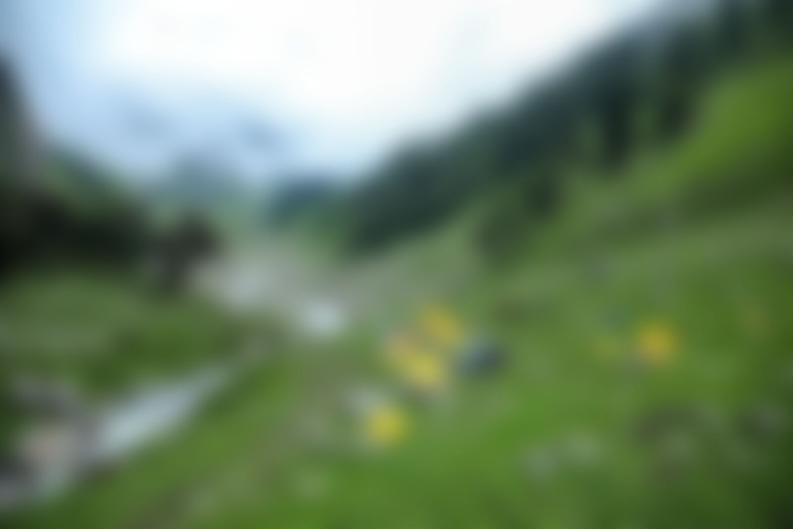 low-preview-574b4fbf 4c17 4ae2 a524 9d75d1ca41cb hampta pass hp indiahikes jothiranjan jobra campsite august 2021 10