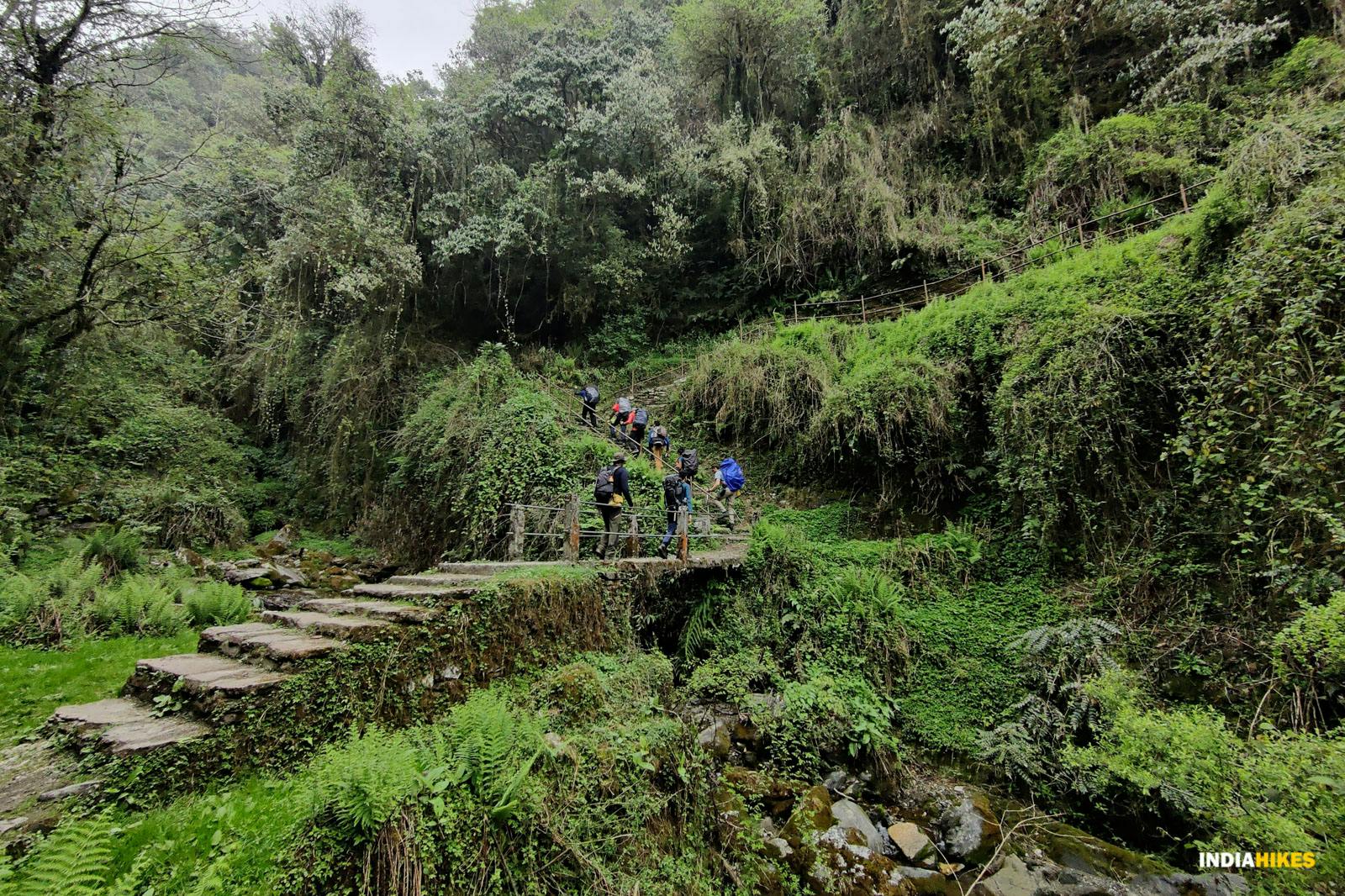 5c619b30 1543 45d0 83e7 f74f74ac2070 trail khopra ridge nitesh kumar indiahikes