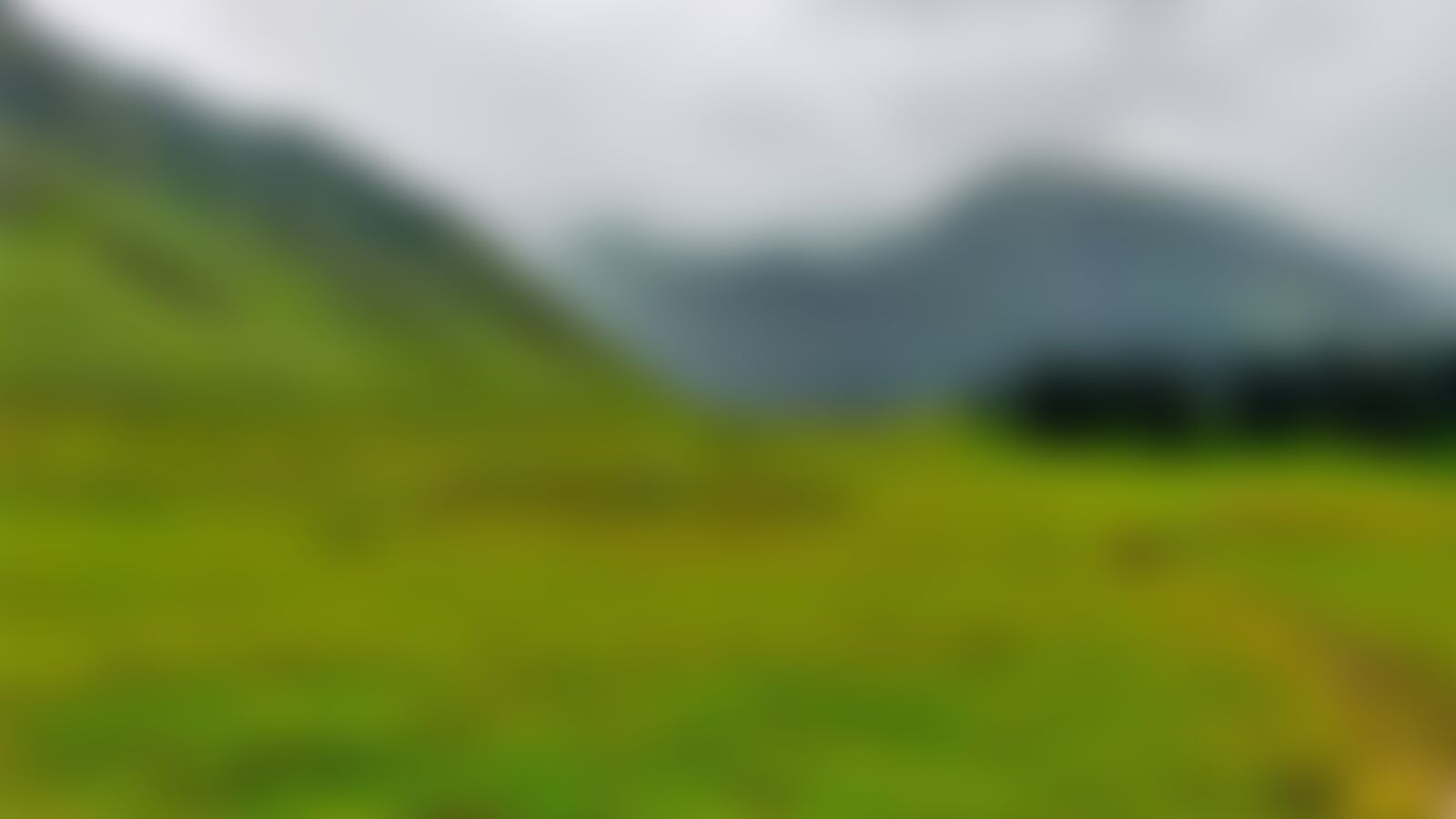 low-preview-5d6ad5ae d14a 42d8 b099 34c5585a2b76 warwan valley subro grasslands compressed