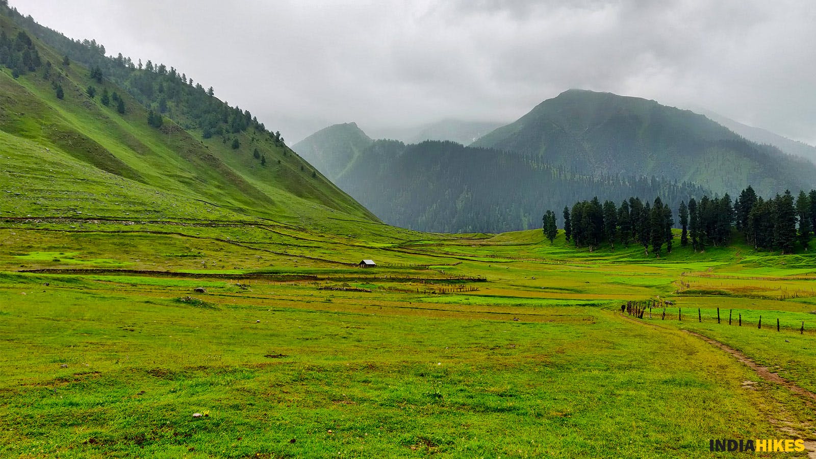 5d6ad5ae d14a 42d8 b099 34c5585a2b76 warwan valley   subro   grasslands   compressed