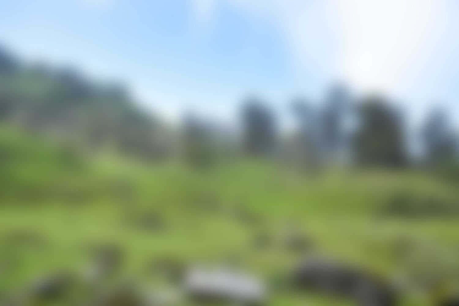 low-preview-7359e7ba dffd 4106 9adc 1268340bf968 ranthan kharak trek indiahikes nitesh kumar april 2022 website resolution 46