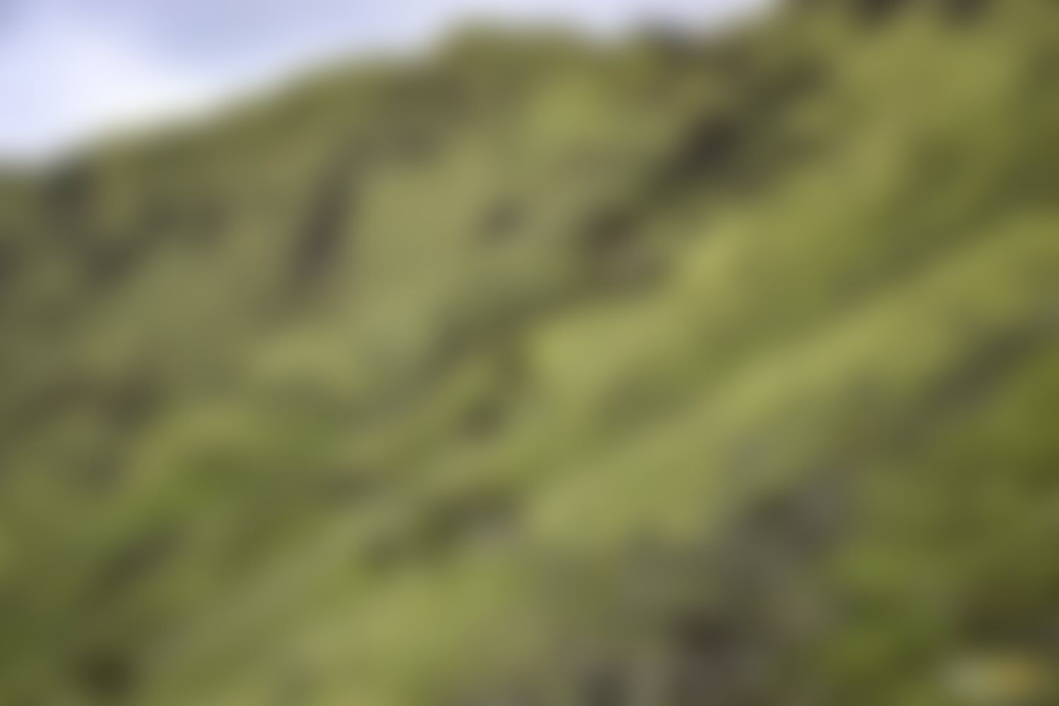 low-preview-7e4a7f71 0907 497d adff 6a74317a3965 ranthan kharak trek indiahikes nithesh kumar april 2022 website resolution 84