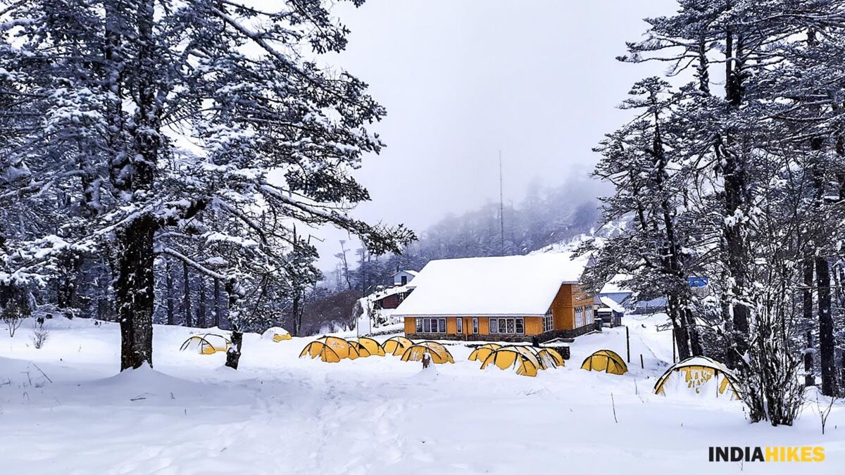 Sandakhpu phalut winter himalayan treks indiahikes