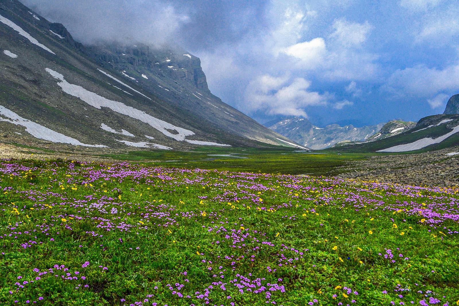 8579684d 78e9 4054 8ced 78d5224b84ad tarsar marsar tm rajesh kallaje valleys tarsar to sundarsar 