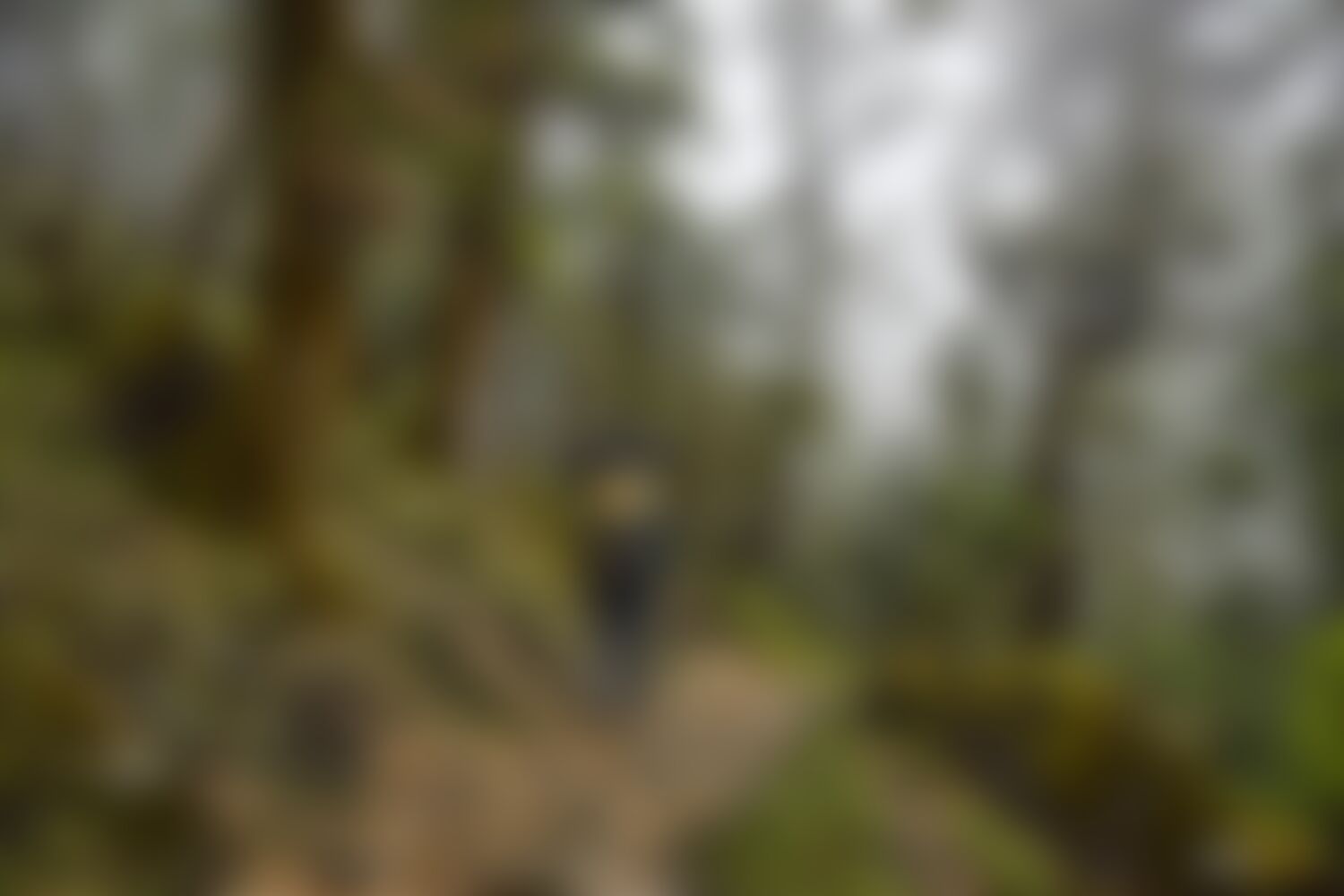 low-preview-87c7bc6a 58ea 44f5 b55c 693b88554bfe ranthan kharak trek indiahikes nitesh kumar april 2022 website resolution 33