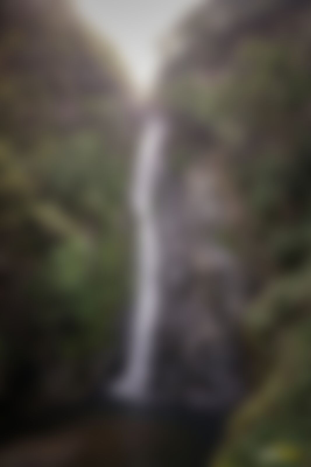 low-preview-891f15b1 3eec 4bc7 9dc1 d327dace5907 goa netravali forest trek mainapi waterfalls vertical shot suhas saya indiahikes