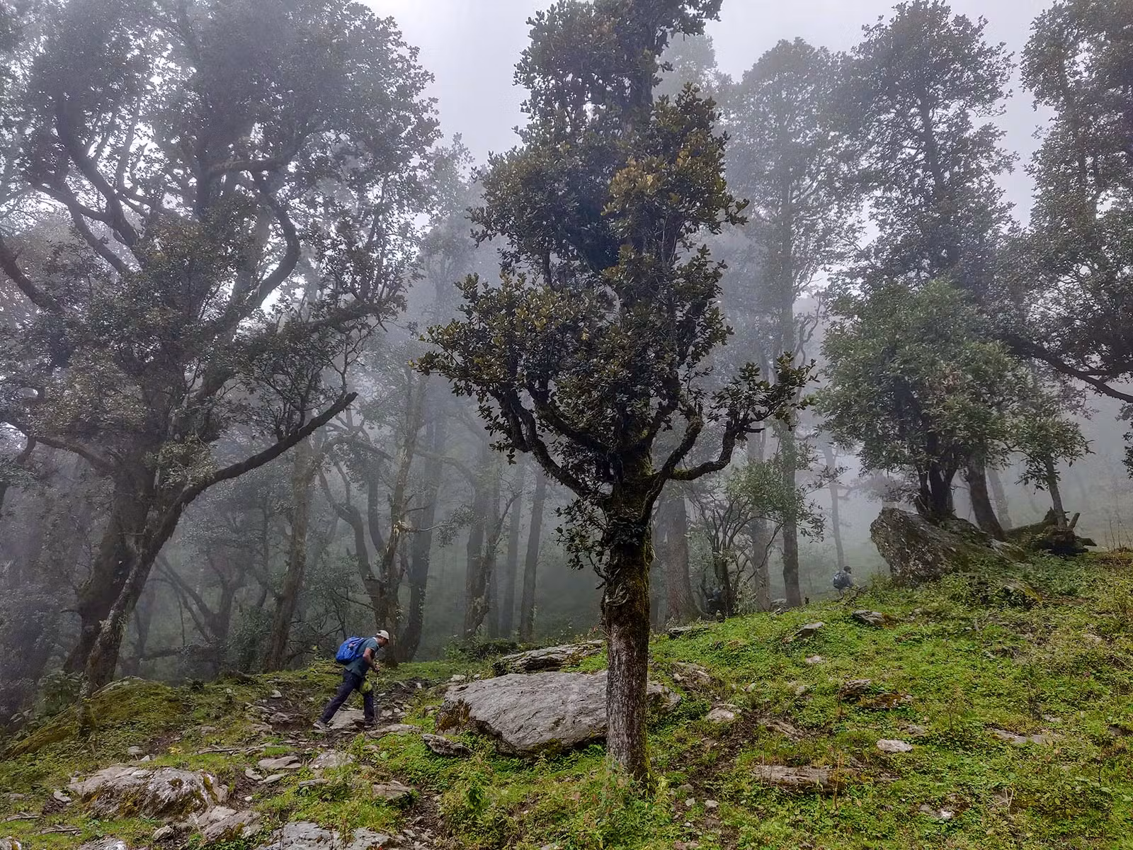 89e05eac f1e6 4b74 95bc 9f92c8fc0e13 gidara bugyal gb nithesh indiahikes 2019 %289%29