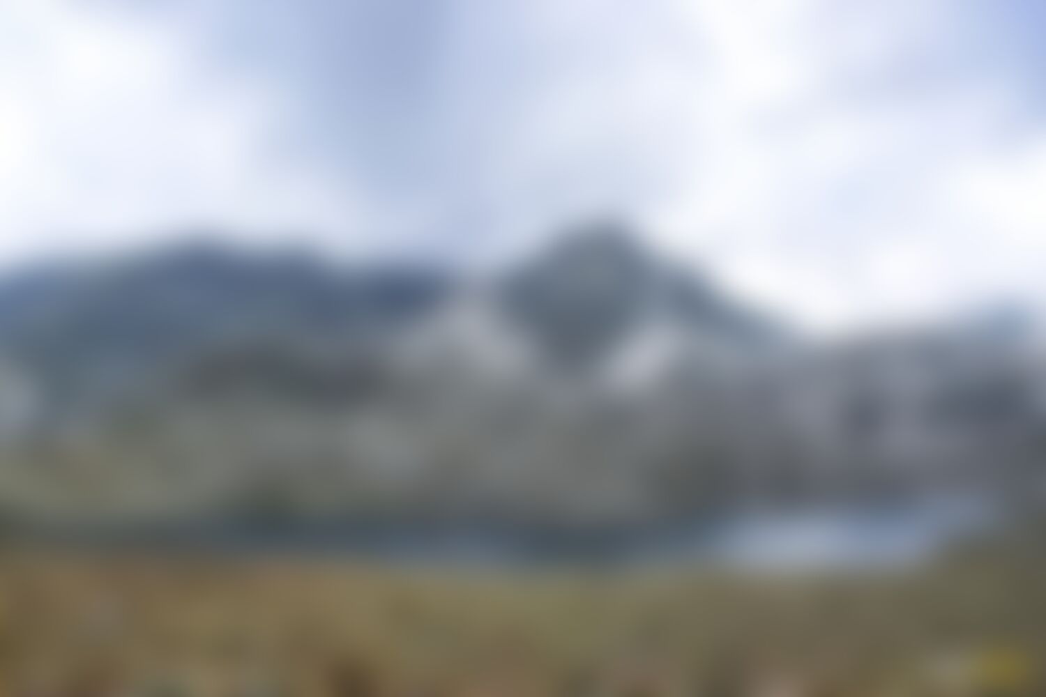 low-preview-9093d56f 0fb6 4864 a2c8 062cde31ea15 asther valley trek indiahikes nithesh kumar july 2022 website resolution 25
