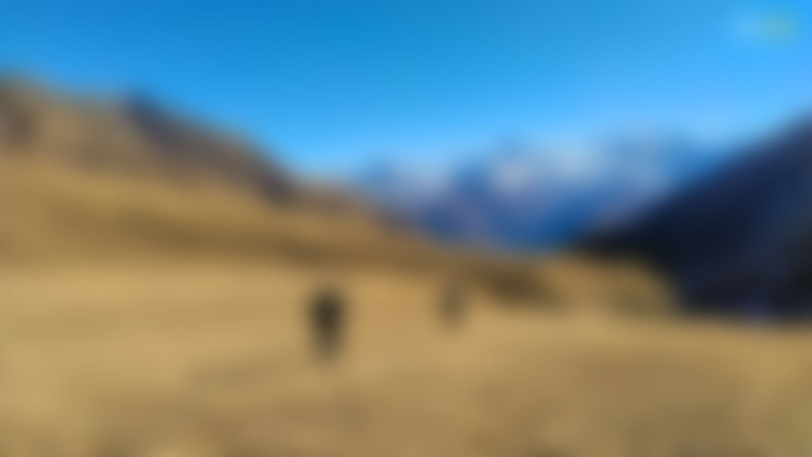 low-preview-92291 gidara bugyal swathi chatrapathy exploration 2021