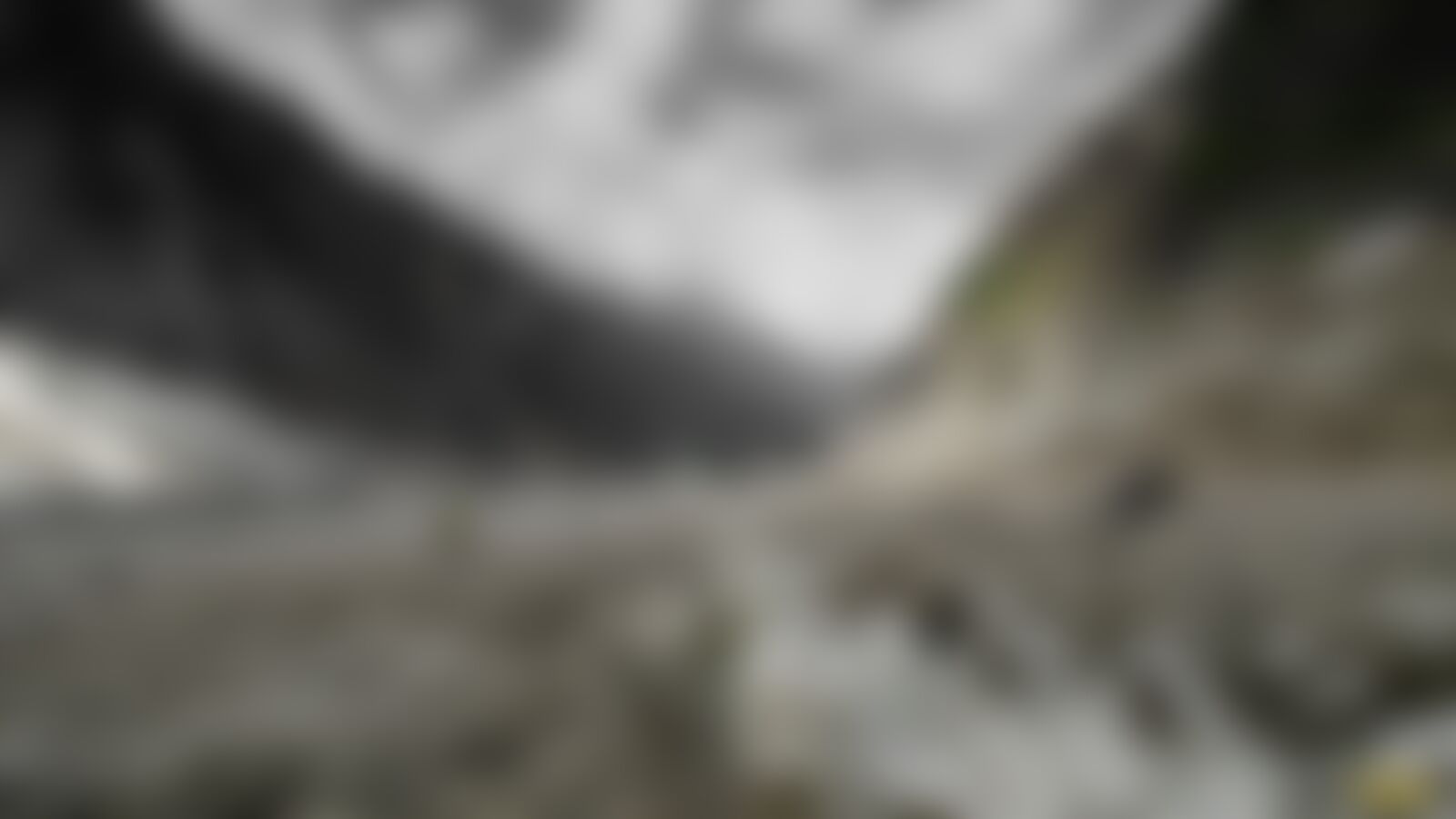 low-preview-92d408db deb4 491b 816e 54527dc0c772 warwan valley k pradeep walking over the galcier compressed