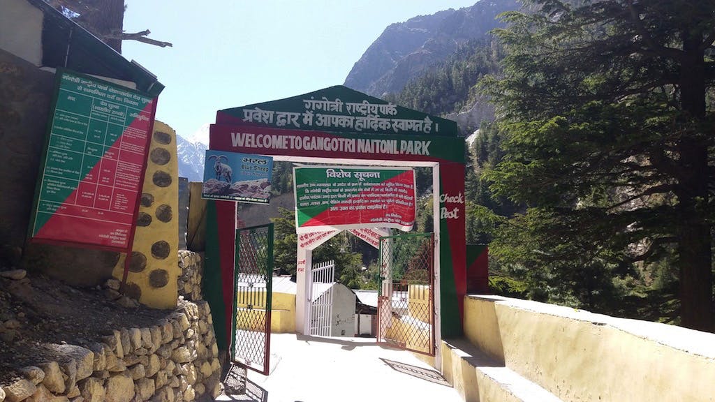 935dee23 0aad 4b12 a04c adb0b3d8c443 gaumukh gt indiahikes jude rayen trek start
