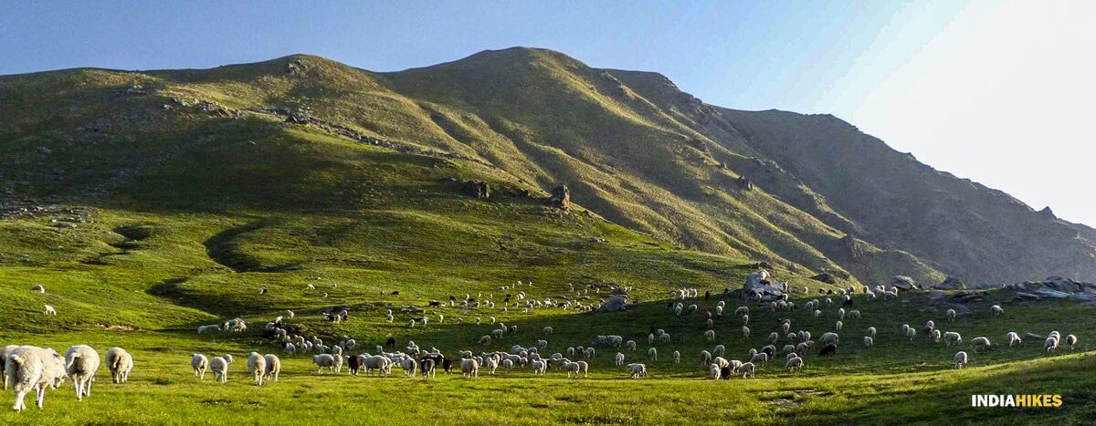 94449 dayara bugyal indiahikes feed at first light arjun majumdar low resolution 