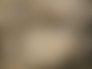 low-preview-946d884a fafd 44a7 96a5 8396648c63b4 p8301608 300x225
