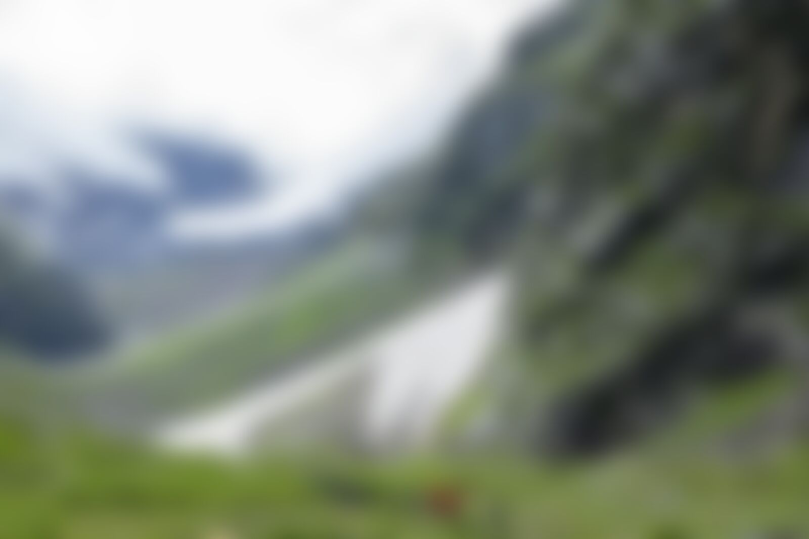 low-preview-94a916c0 890f 4187 9280 7b4cef4d526a hampta pass hp indiahikes jothiranjan jwara to balukagera campsite august 2021 3