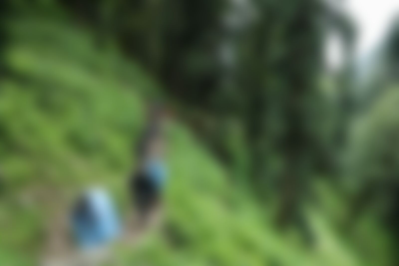 low-preview-975a2010 a73c 4fac a02e dd4de43fda30 hampta pass hp indiahikes jothiranjan manali to jobra august 2021 9