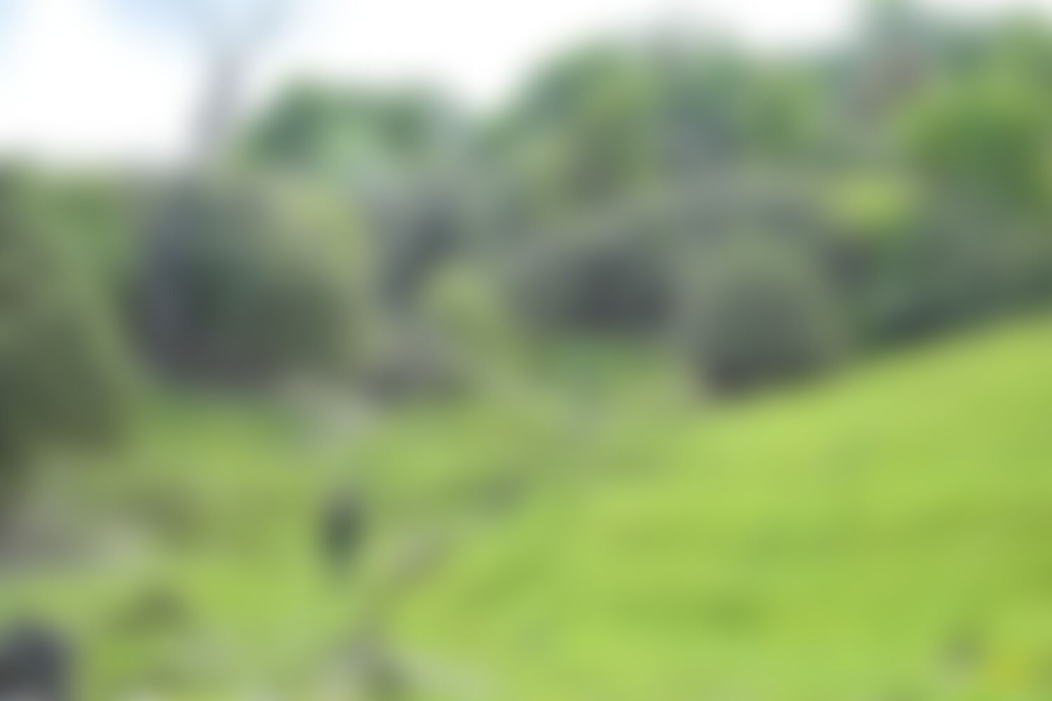low-preview-9eaff2d7 581a 49de bb8c 74a35fe6b1b5 ranthan kharak trek indiahikes nitesh kumar april 2022 website resolution 58