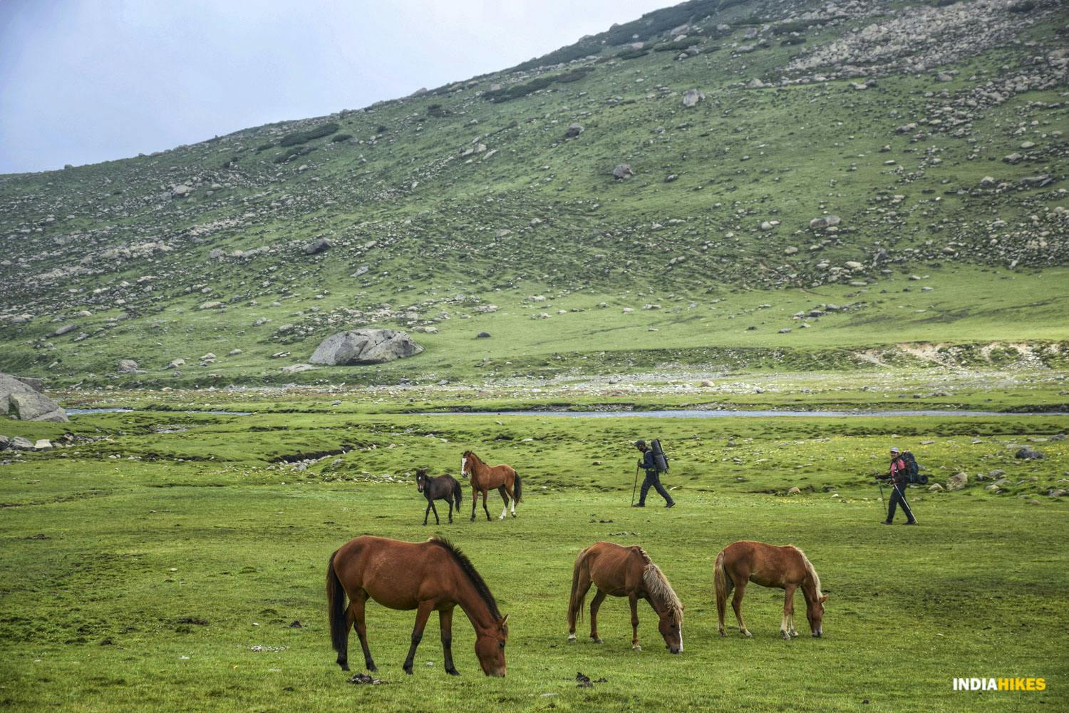 9eb4e031 a094 4891 a7ba b4ee753bd915 asther valley trek indiahikes nithesh kumar july 2022 website resolution  9